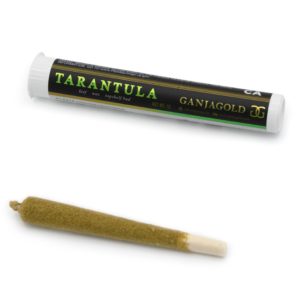 Ganja Gold - Green Tarantula