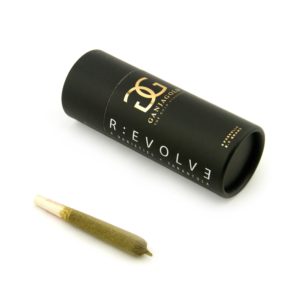 Ganja Gold - R:Evolve - 2.5g Pre Roll Pack