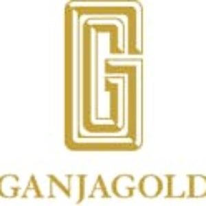 Ganja Gold - Revolve 5 Pack