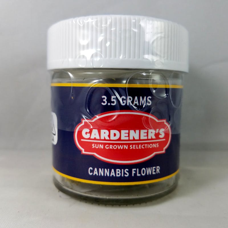 marijuana-dispensaries-408-s-mt-shasta-blvd-mt-shasta-gardeners-gelato-45