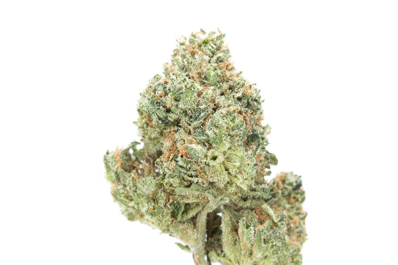marijuana-dispensaries-3915-wilder-rd-bay-city-garlic-diesel
