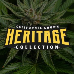 Gas Kandy by DNA Genetics - Heritage Collection