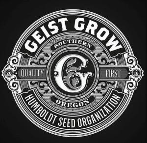 Geist Grow - HSO Pure CBD Seeds