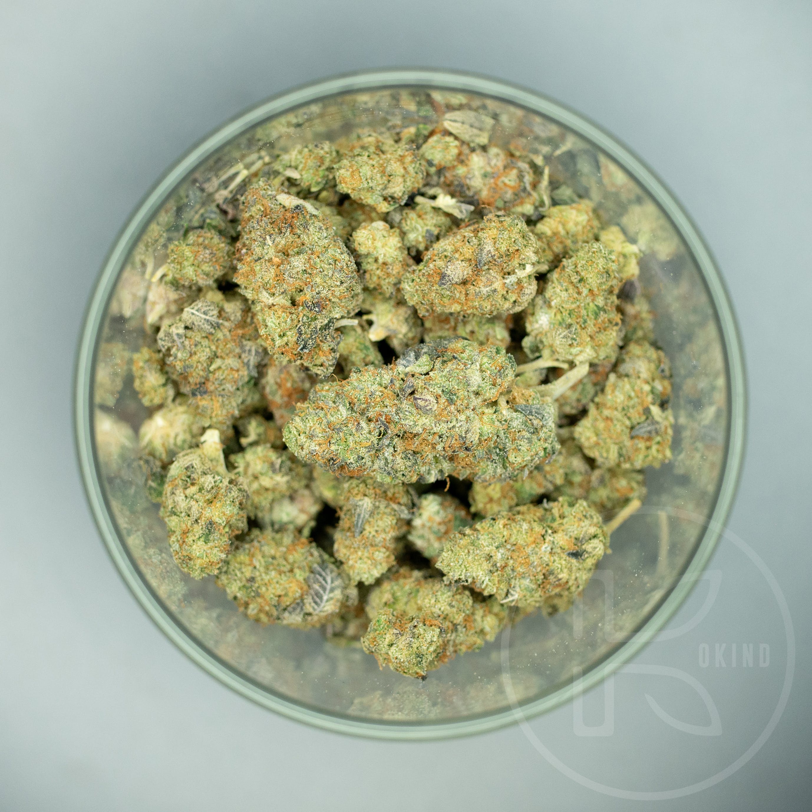 marijuana-dispensaries-19-n-park-street-sapulpa-gelato-2310