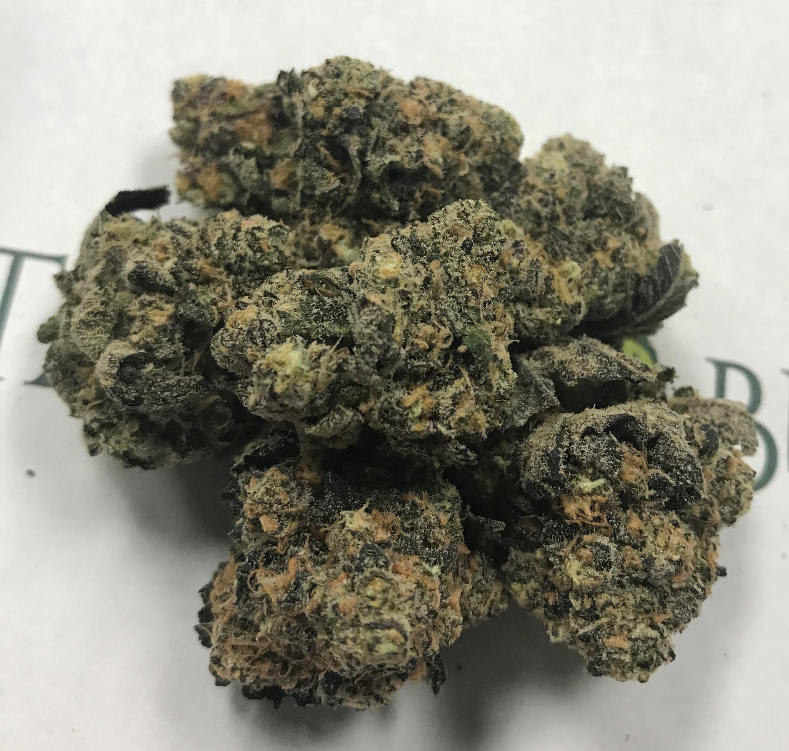 marijuana-dispensaries-8600-e-8-mile-rd-detroit-gelato-2325