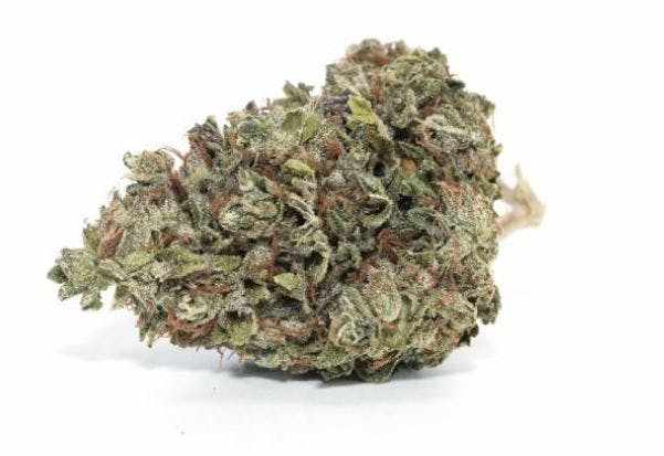 marijuana-dispensaries-sira-naturals-in-needham-heights-gelato-2333