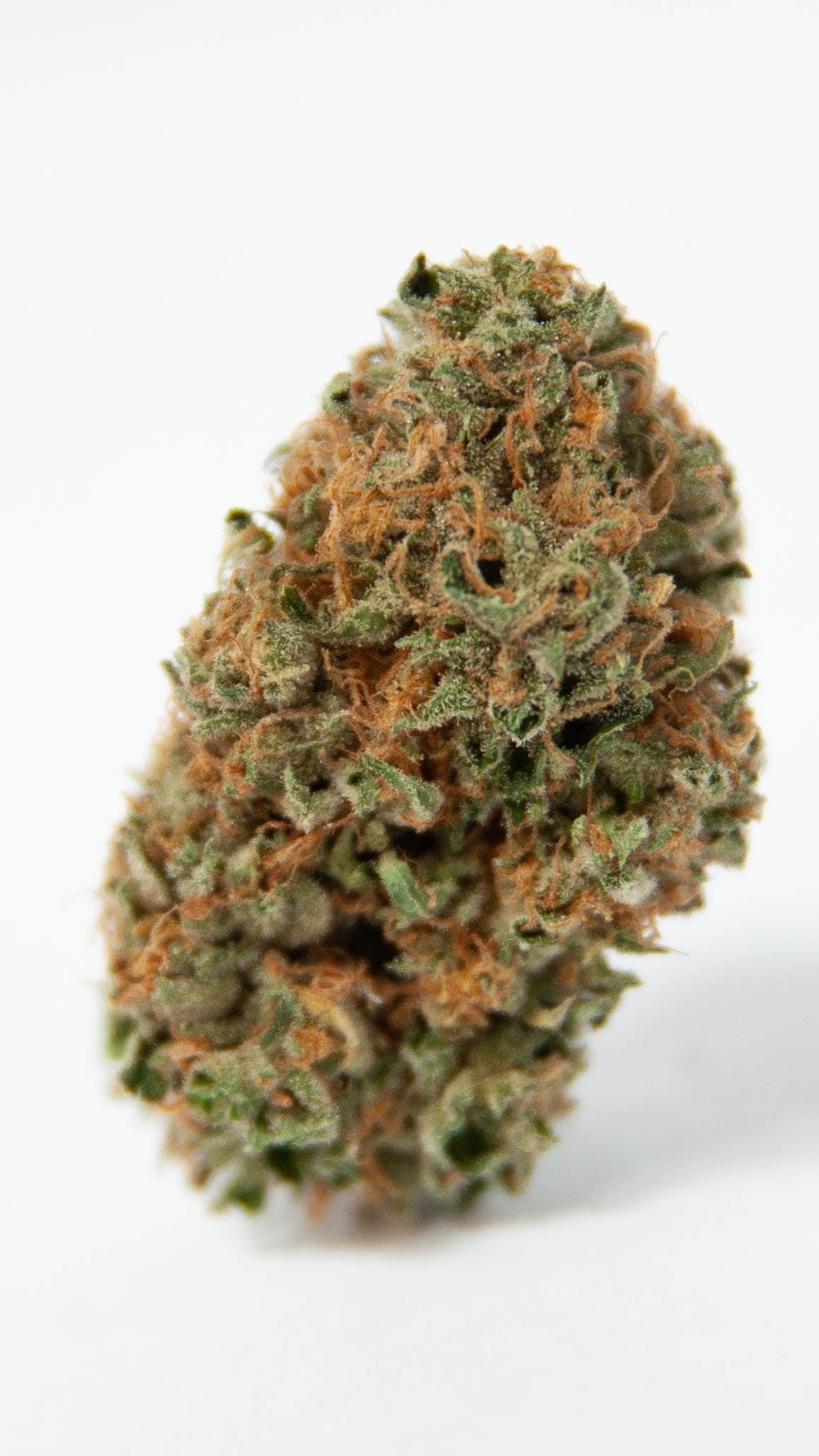 marijuana-dispensaries-corktown-collective-in-detroit-gelato-45
