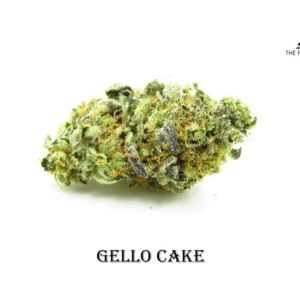GELLO CAKE