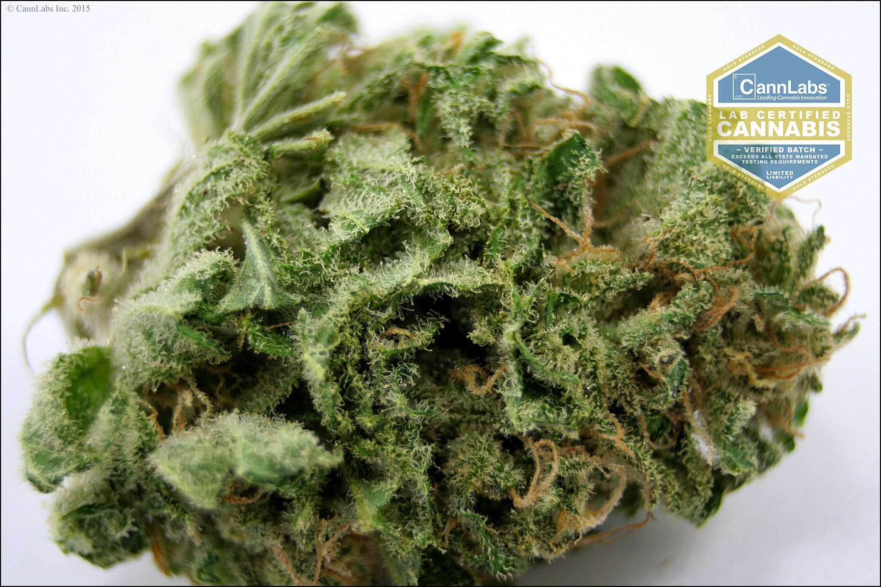 marijuana-dispensaries-natures-herbs-and-wellness-denver-in-denver-georges-cross