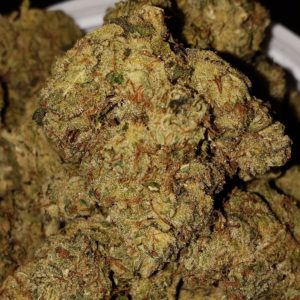 GG#4 25.9%THC 0.15%CBD-Kings Cannabis