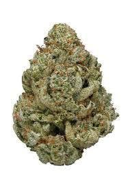 marijuana-dispensaries-7415-crenshaw-los-angeles-gg-234-loudpack