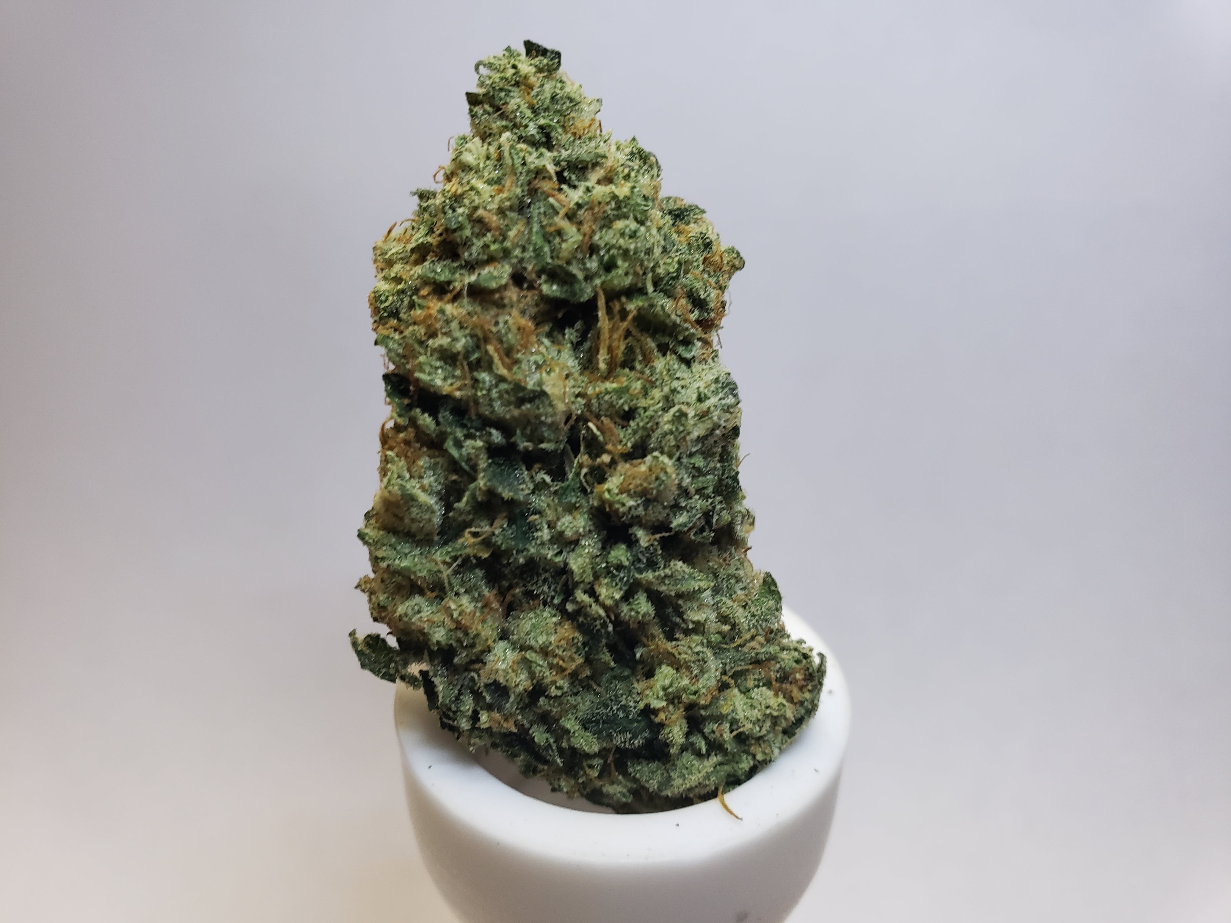 marijuana-dispensaries-1353-west-inyokern-road-suite-i-ridgecrest-gg-23420