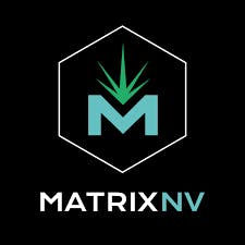 GG4 300mg Disposable - Matrix NV