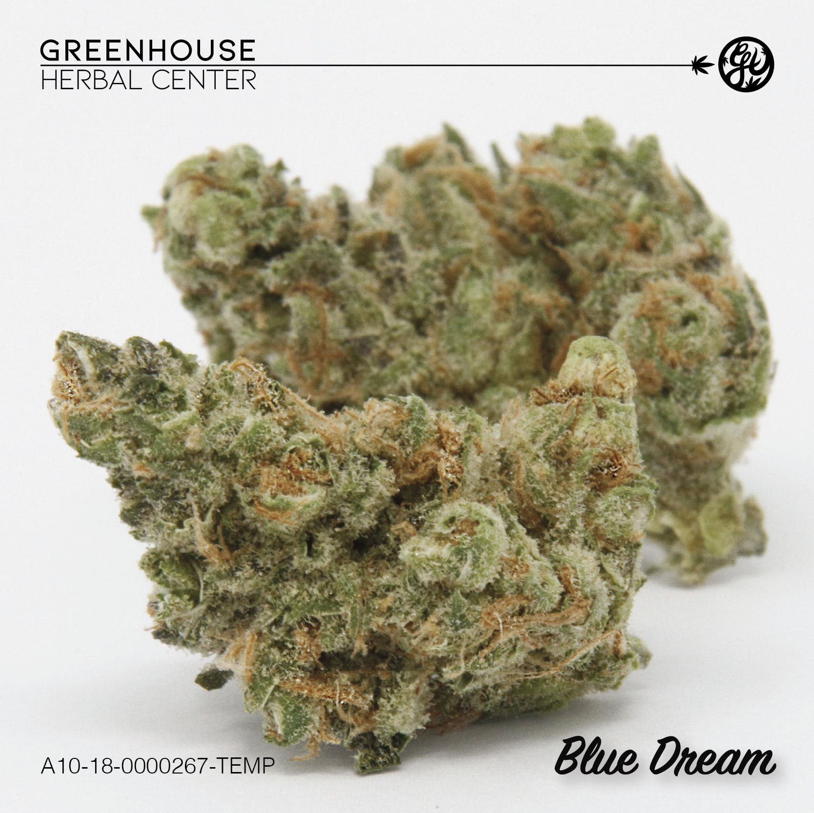 GHC Presents- Blue Dream