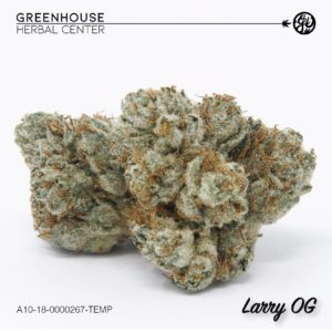 GHC Presents - Larry OG