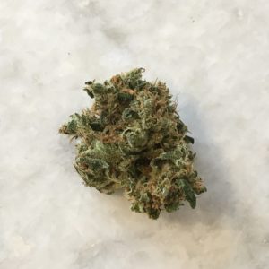 Ghost Rider by Grassroots