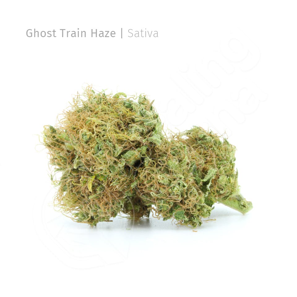 Ghost Train Haze *NEW House Strain*