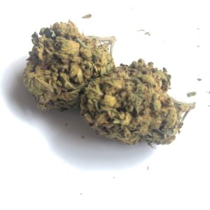 Ginger Kush **$100 Ounce Special**