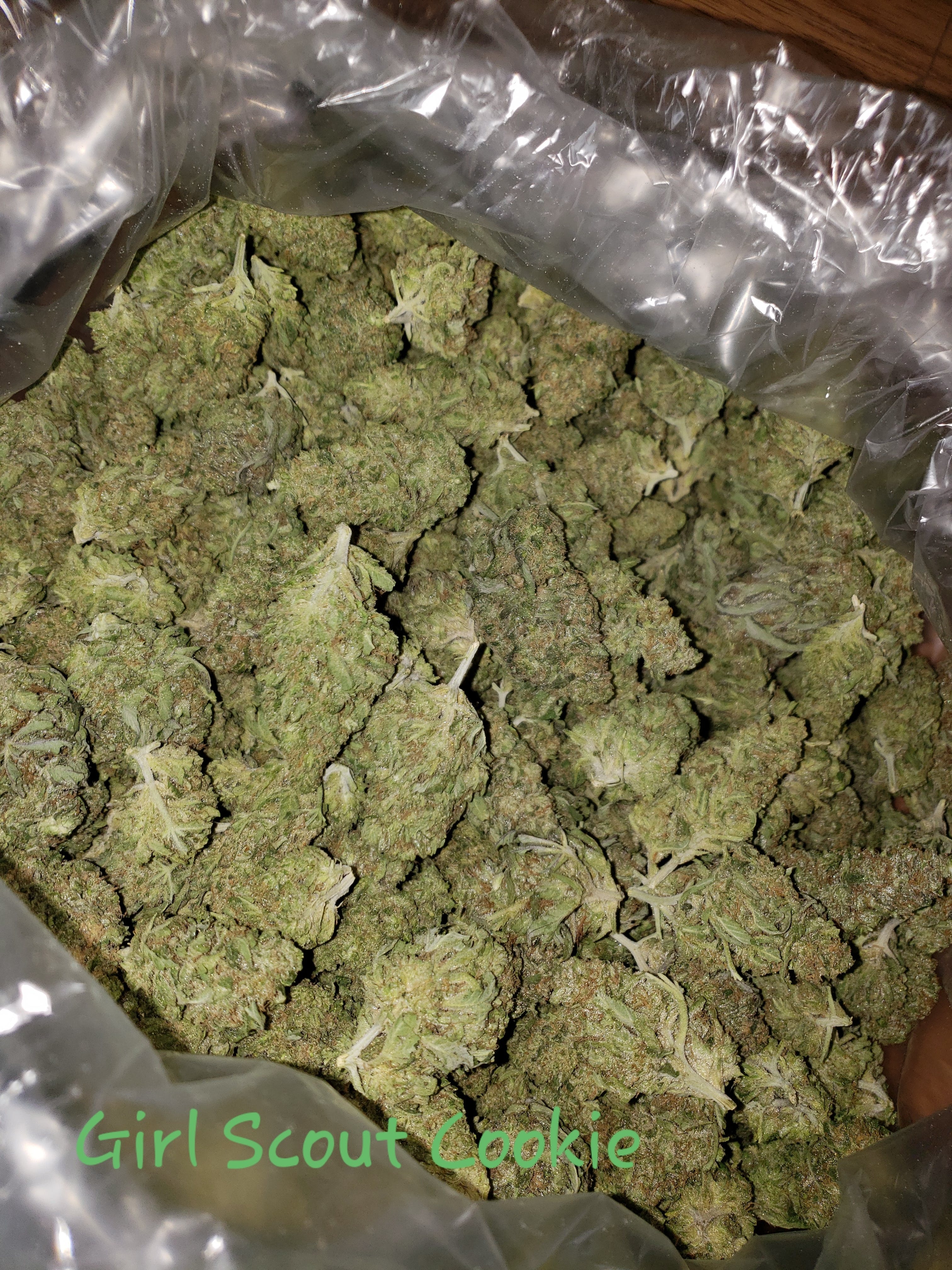 marijuana-dispensaries-466-west-main-st-trinidad-girl-scout-cookie-23-55-25
