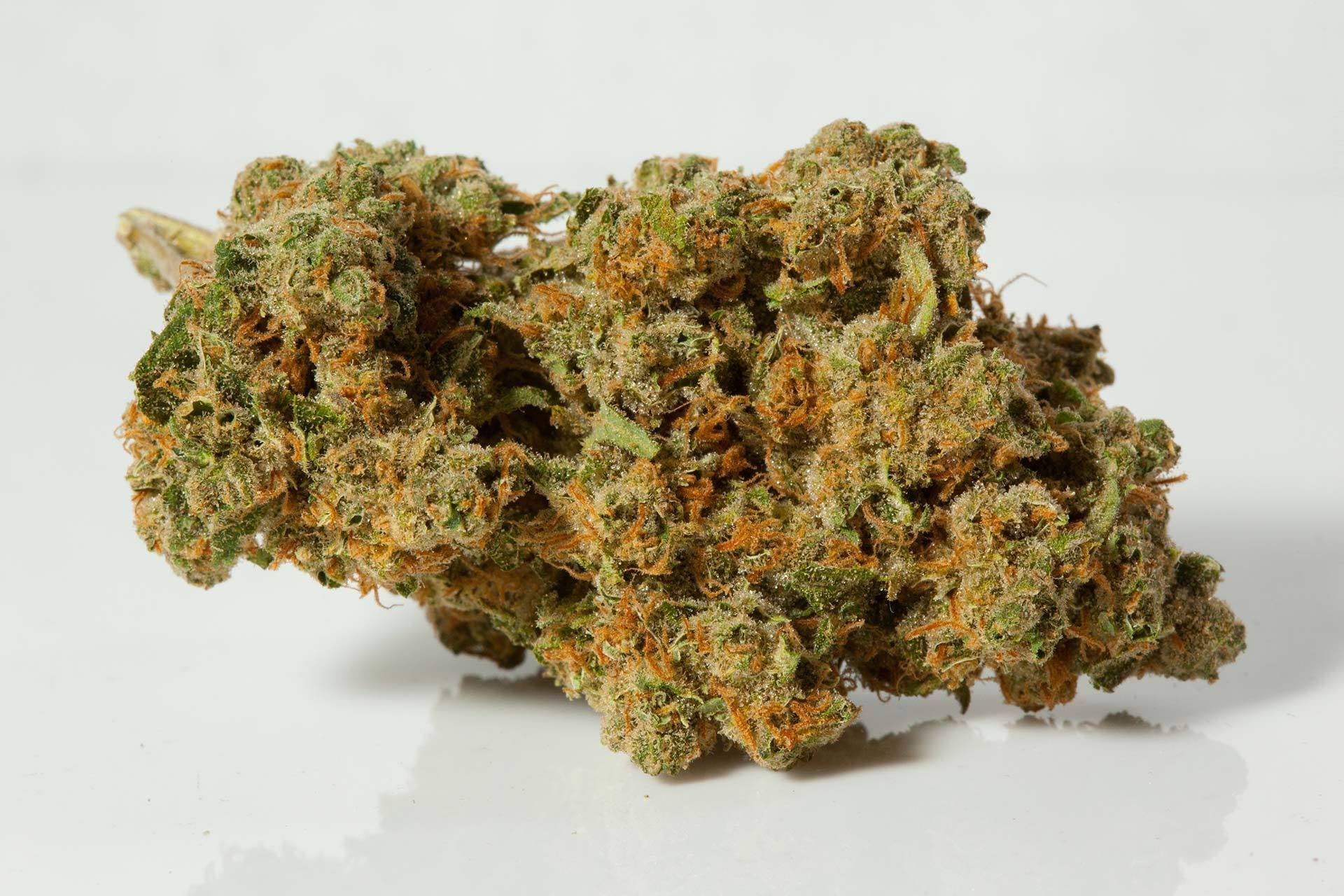 indica-girl-scout-cookies-10g-for-24110