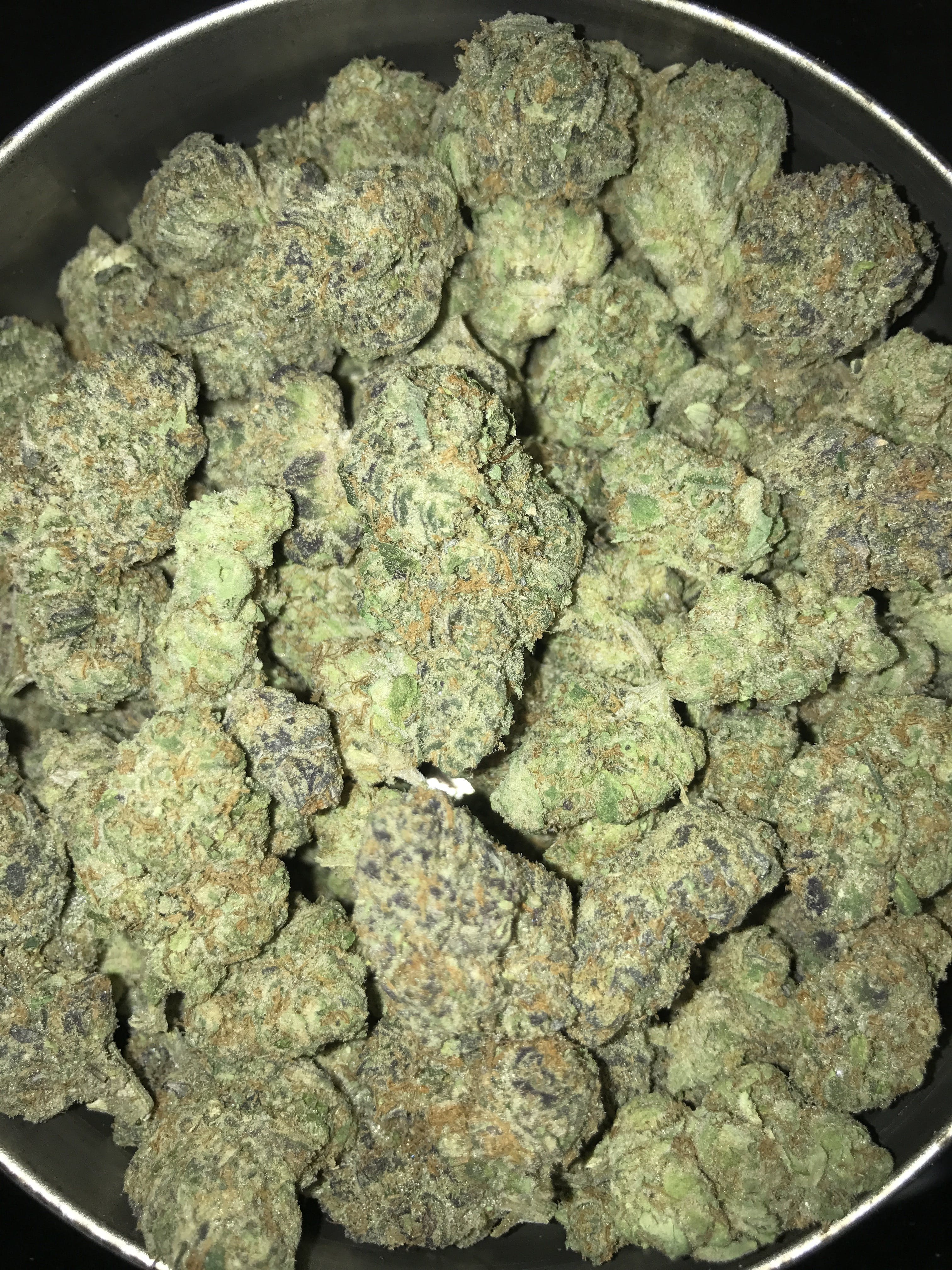 GIRL SCOUT COOKIES (EXCLUSIVE)