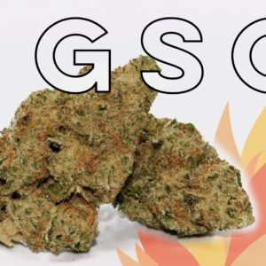 Girl Scout Cookies - from Harvest