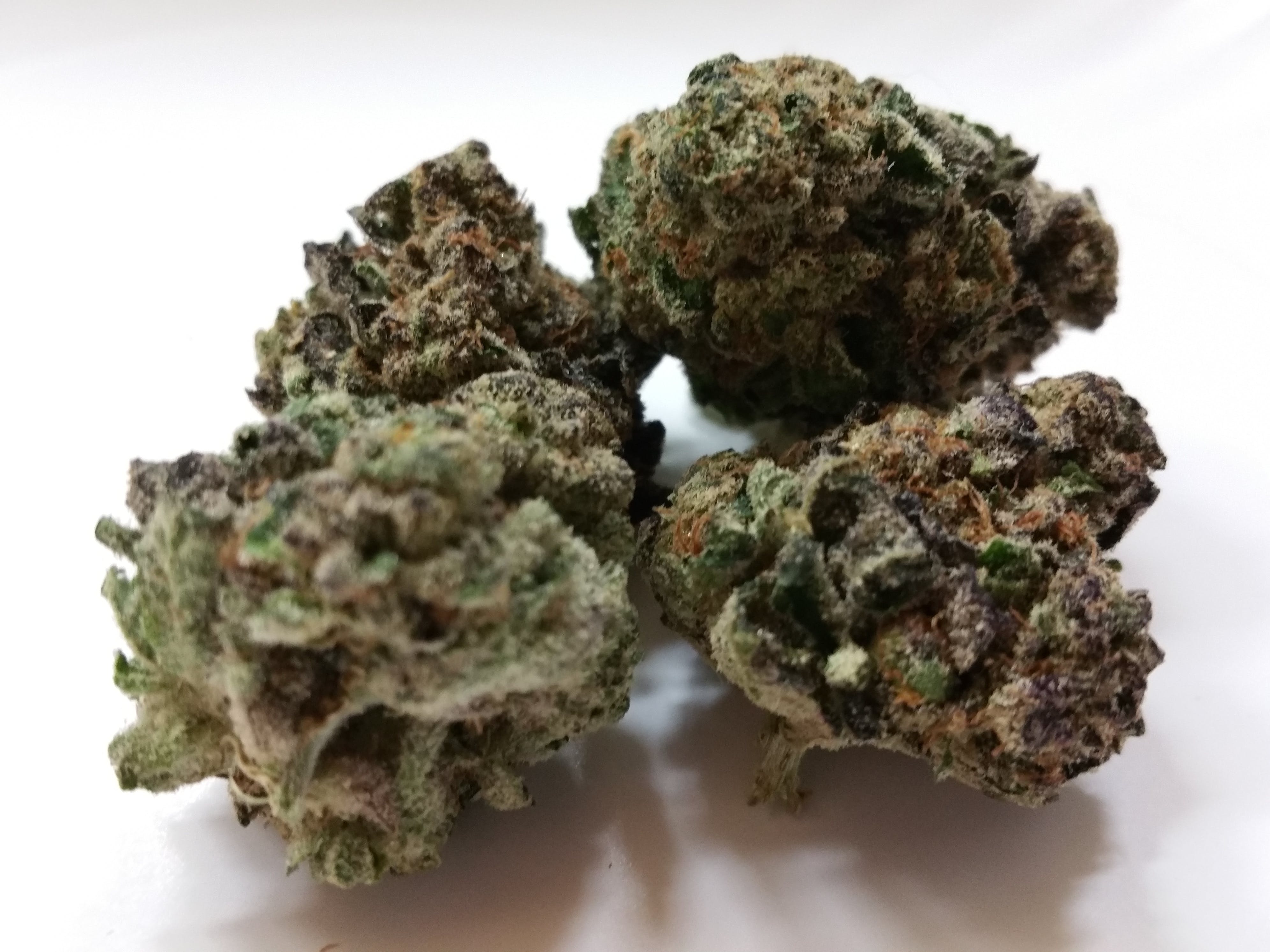 marijuana-dispensaries-the-green-source-lll-in-colorado-springs-girl-scout-cookies-members-only