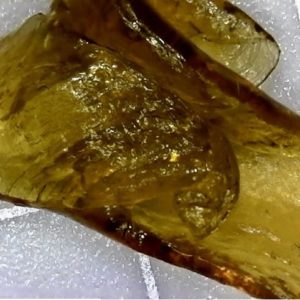 Girl Scout Cookies Shatter by Culta
