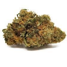 marijuana-dispensaries-218-e-highland-ave-2c-suite-b-san-bernardino-girls-scout-cookies