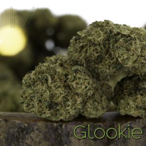 Glookie
