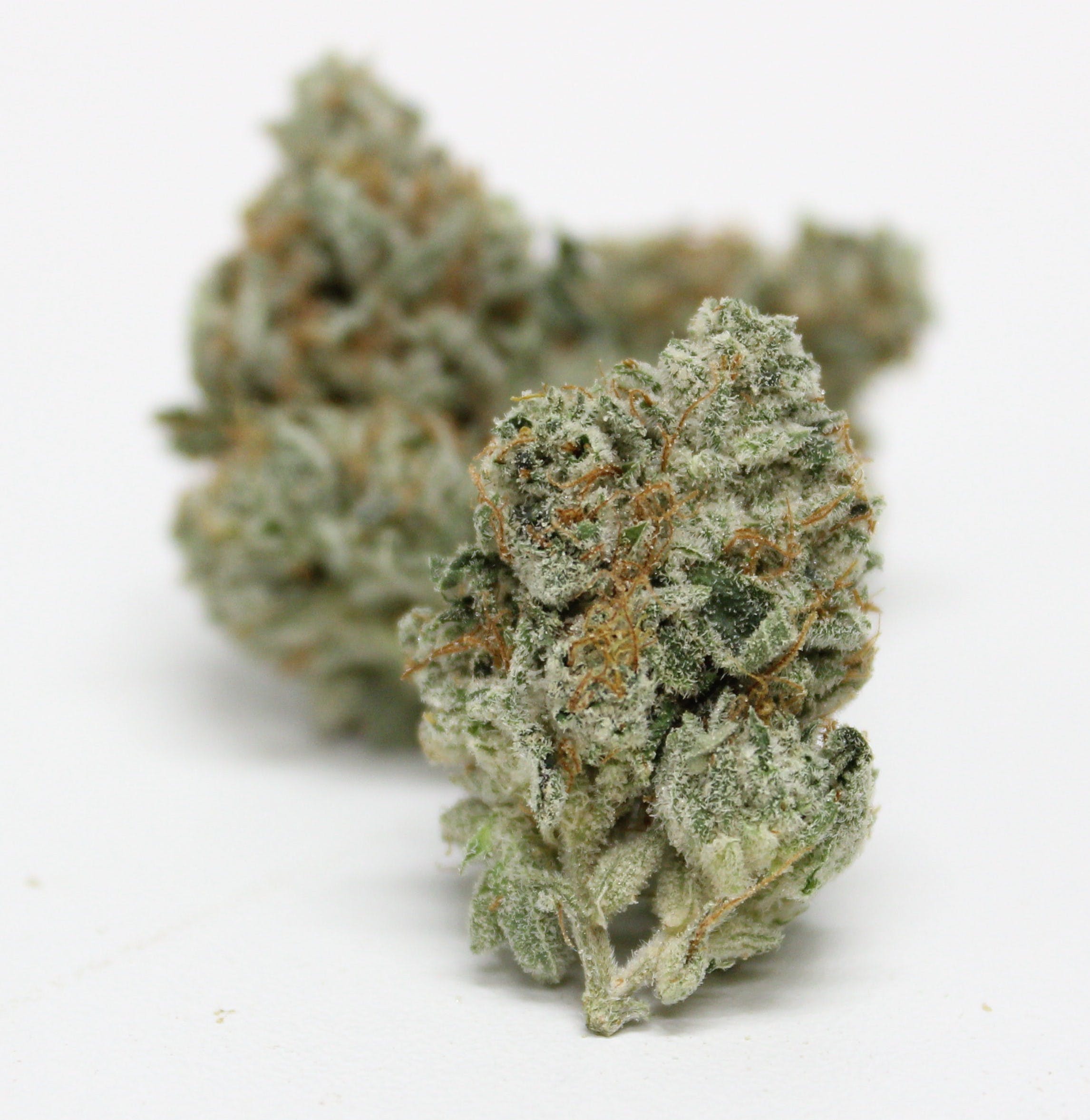 marijuana-dispensaries-20561-dwyer-st-detroit-glue-special-245g