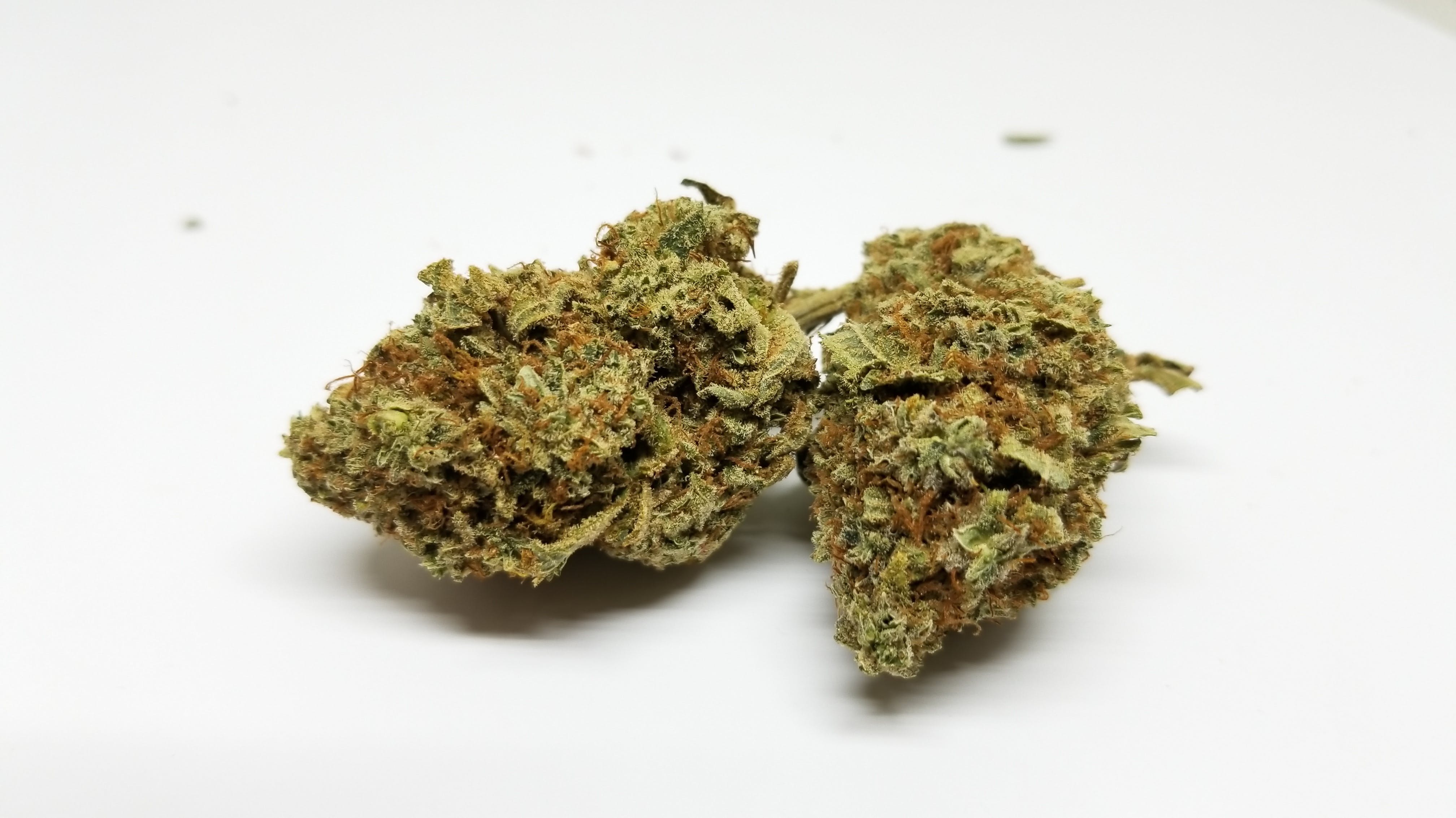 marijuana-dispensaries-303-james-st-north-hamilton-glueberry