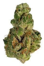 marijuana-dispensaries-3518-foothill-blvd-oakland-gmo-by-elbow-farms