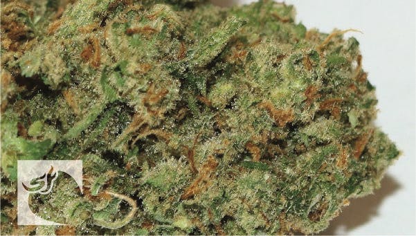 marijuana-dispensaries-strawberry-fields-trinidad-in-trinidad-gold-apple-sherbert