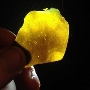 GOLD COAST EXTRACTS LIVE RESIN