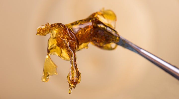concentrate-gold-coast-extracts-trim-run