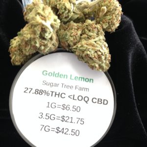 Golden Lemon by Sugar Tree Farm