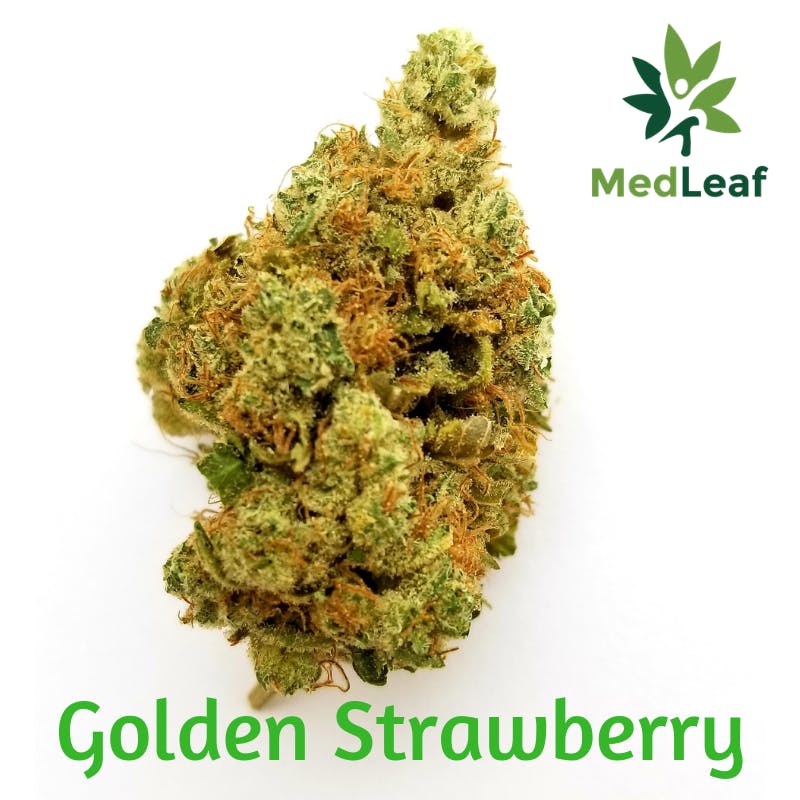Golden Strawberry - Curio (20.6%)