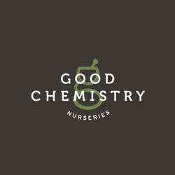 Good Chemistry Tee Shirt