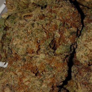 Gorilla Cookies 26.30%THC- Evergreen Natural Harvest