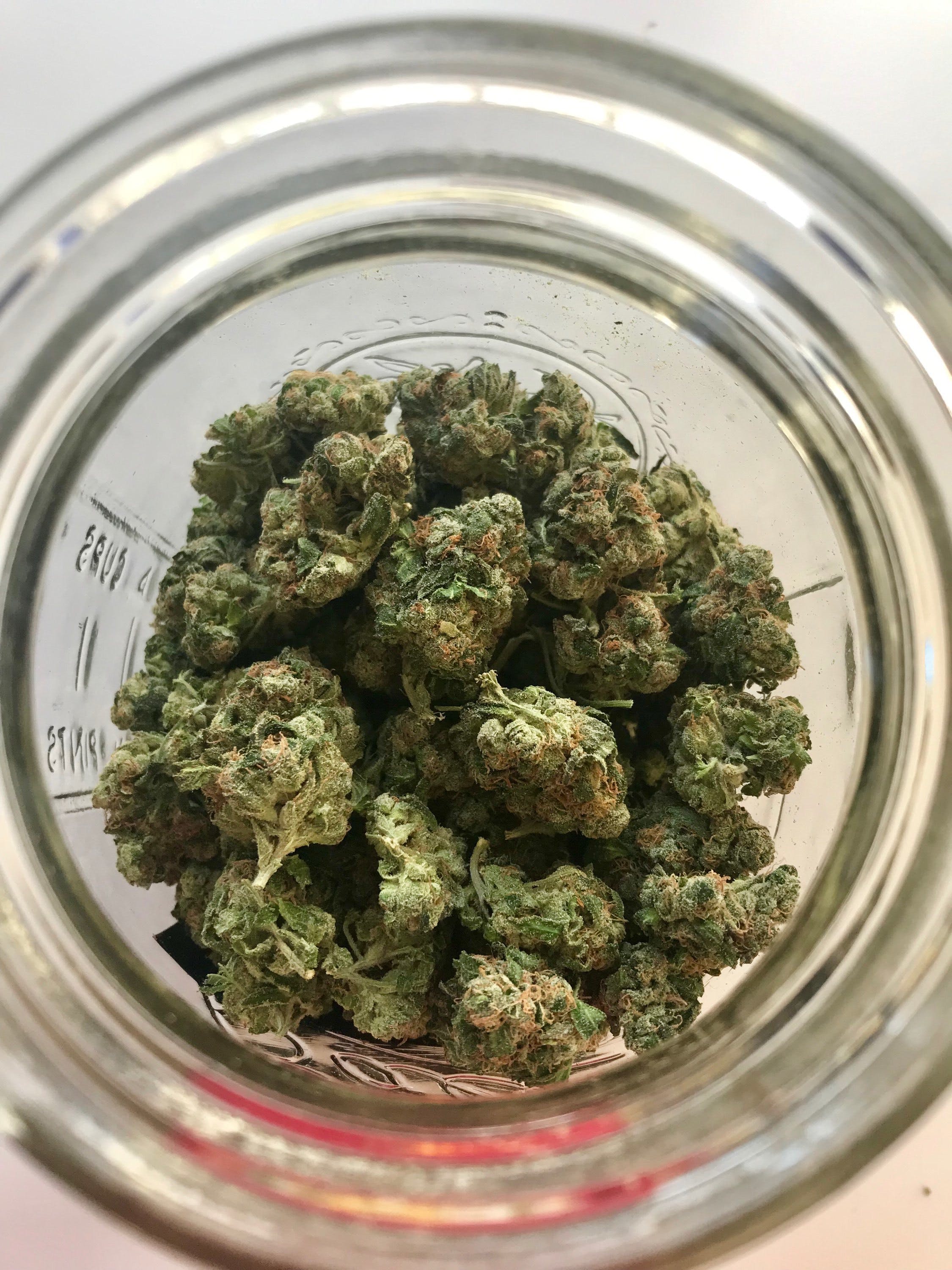 marijuana-dispensaries-5700-4th-st-nw-albuquerque-gorilla-dosha-233