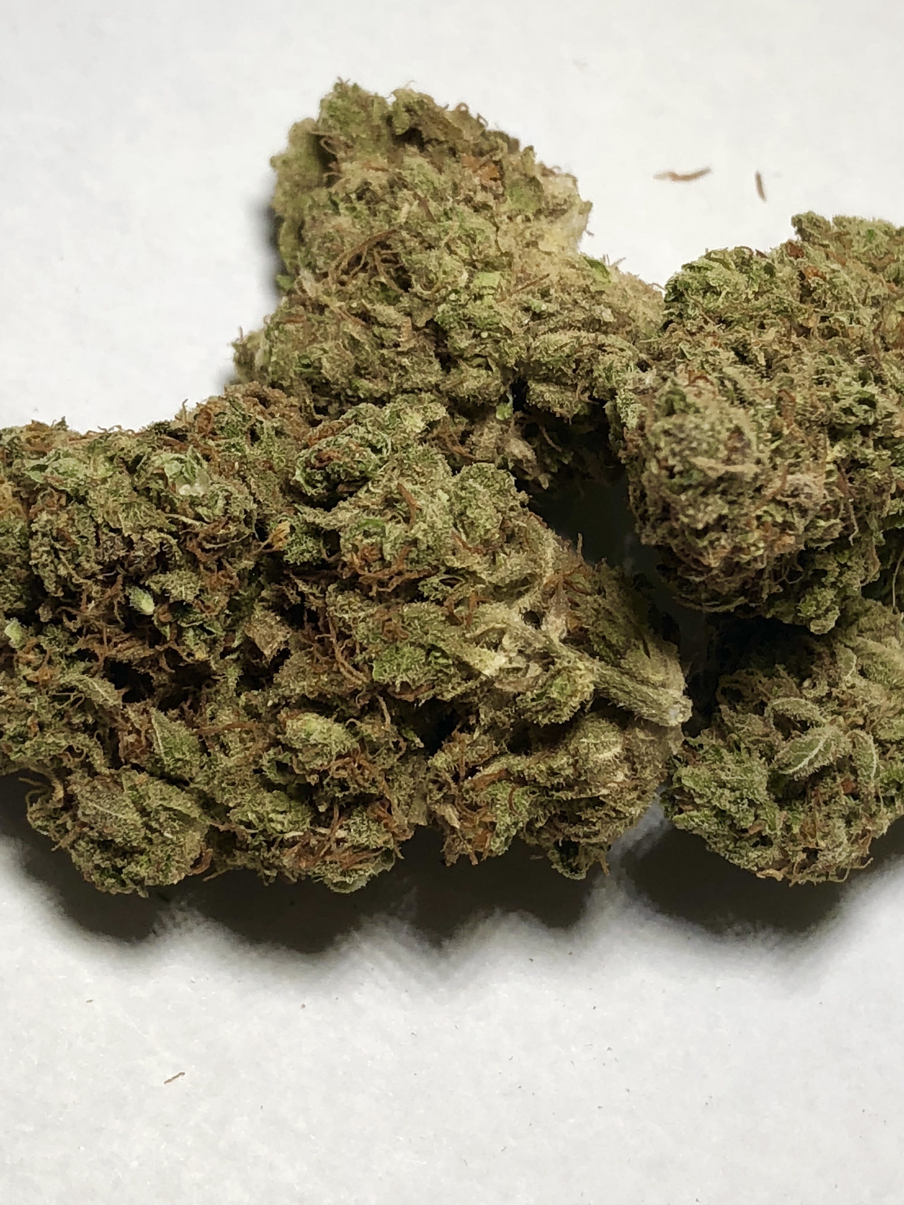 marijuana-dispensaries-600-s-centennial-blvd-directly-behind-kay-supply-taylor-gorilla-glue-2310