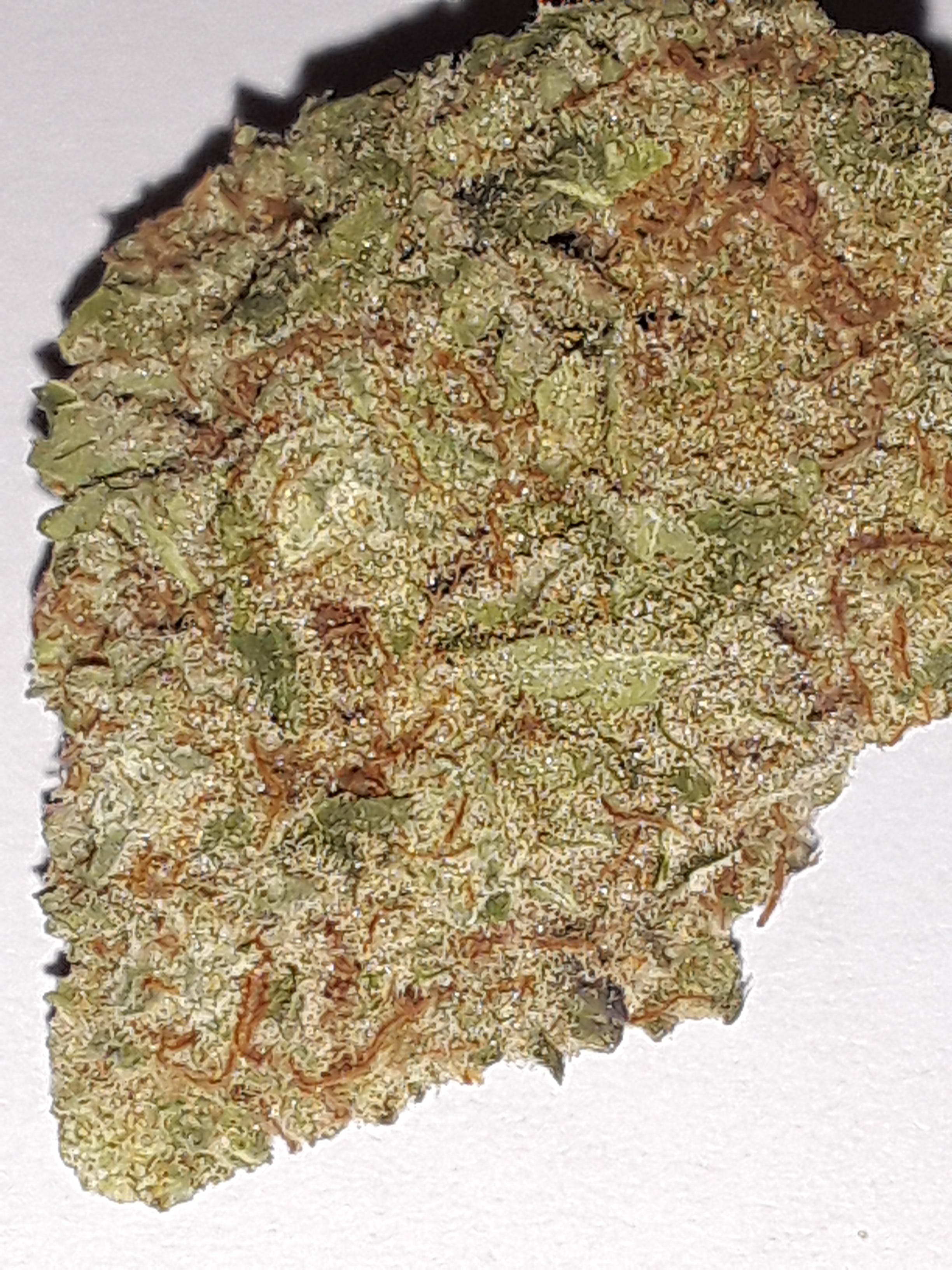 marijuana-dispensaries-la-420-in-los-angeles-gorilla-glue-2312