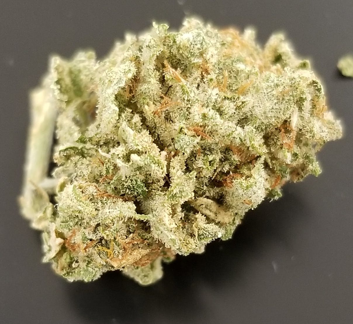 marijuana-dispensaries-green-culture-jay-in-jay-gorilla-glue-233