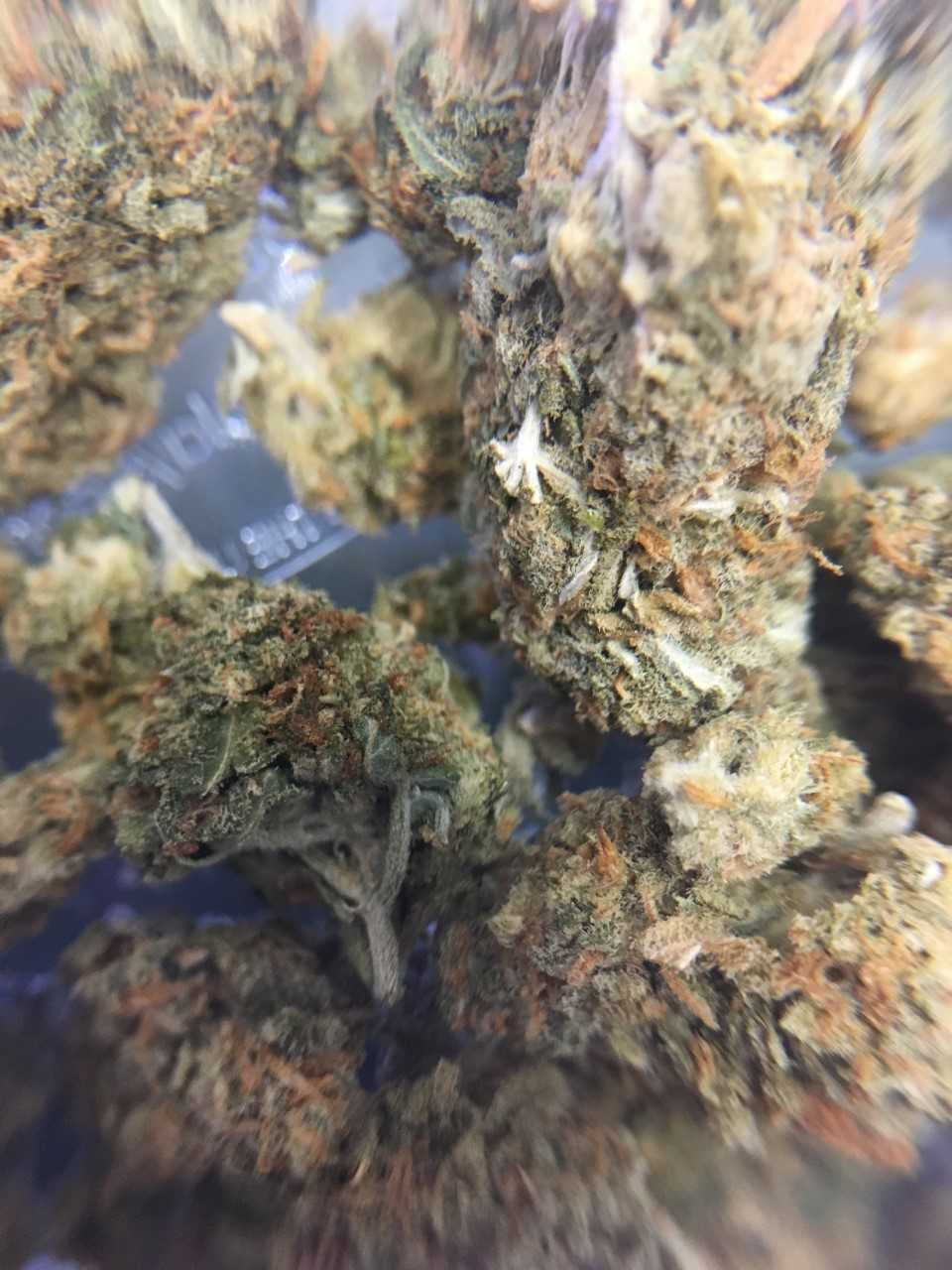 marijuana-dispensaries-naturemeds-in-ardmore-gorilla-glue-234-flower