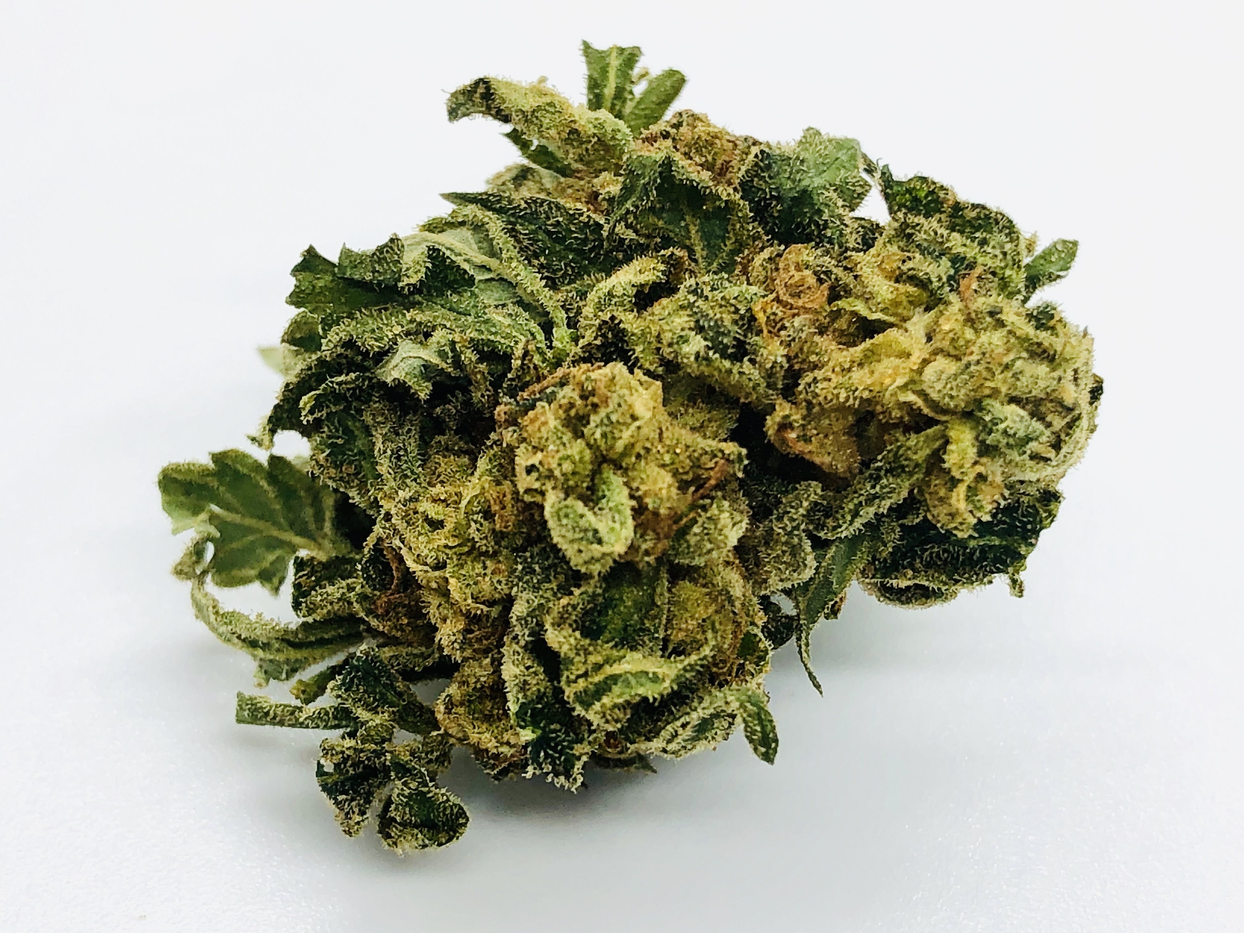 marijuana-dispensaries-4700-north-huron-road-pinconning-gorilla-glue-234-jw
