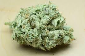marijuana-dispensaries-11638-victory-blvd-north-hollywood-gorilla-glue-234-pr