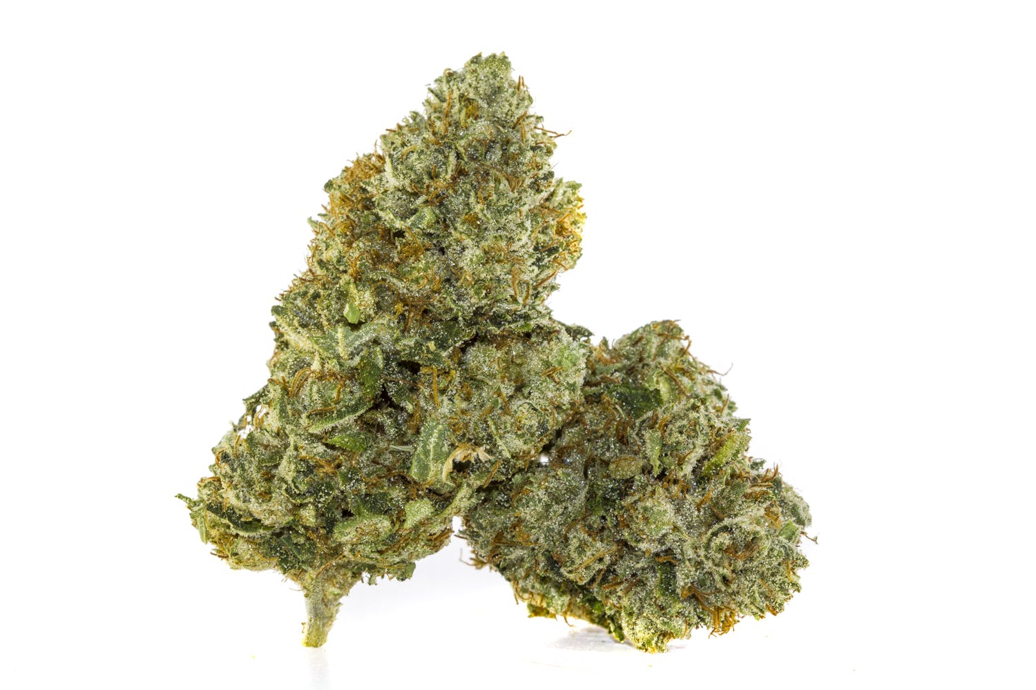 marijuana-dispensaries-4966-leetsdale-glendale-gorilla-glue-234-thc-26-25