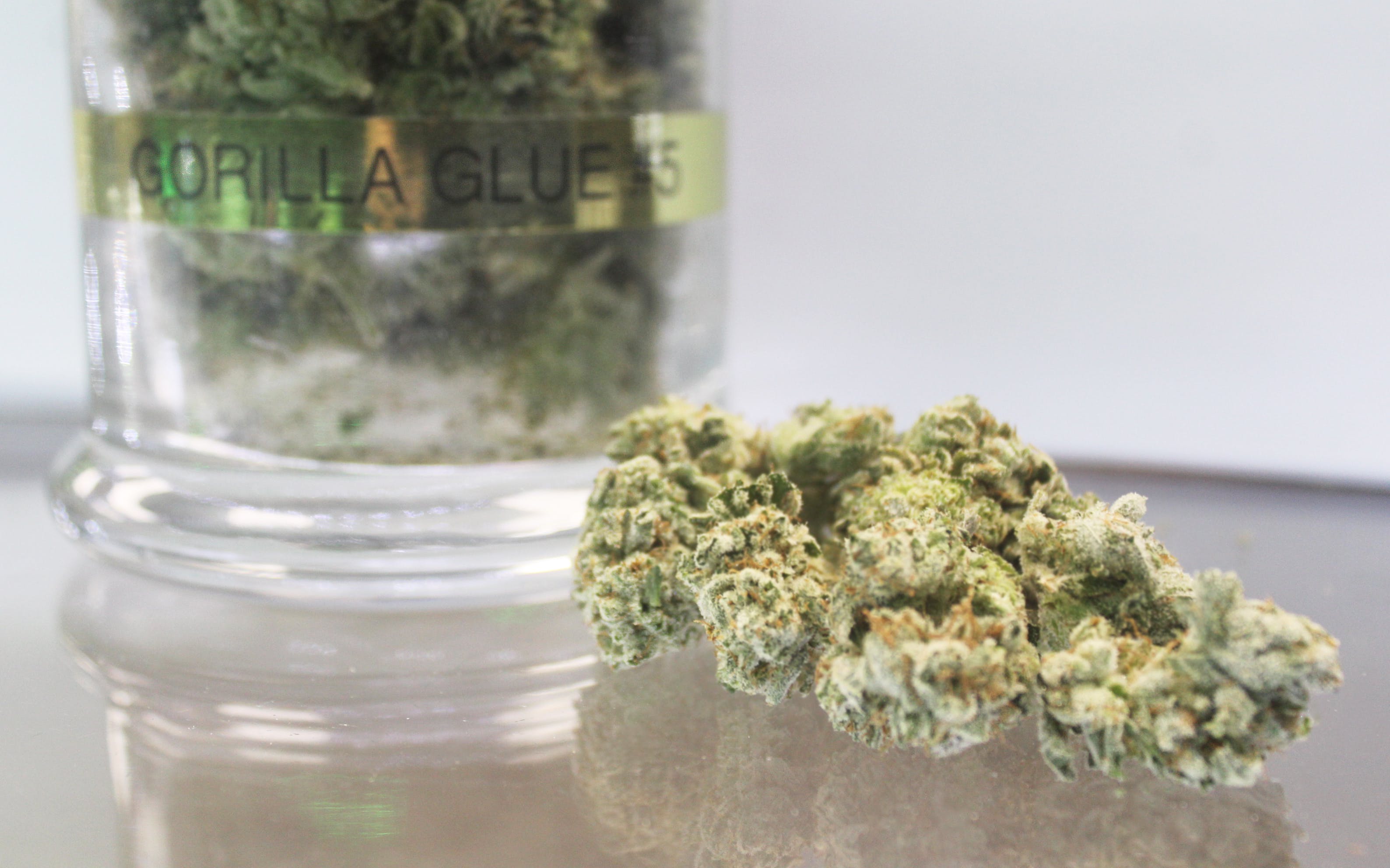 marijuana-dispensaries-7555-greenfield-rd-detroit-gorilla-glue-235-new-glue