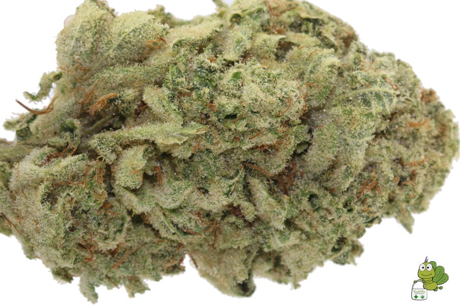 marijuana-dispensaries-13311-victory-blvd-van-nuys-gorilla-glue-5g-for-2435